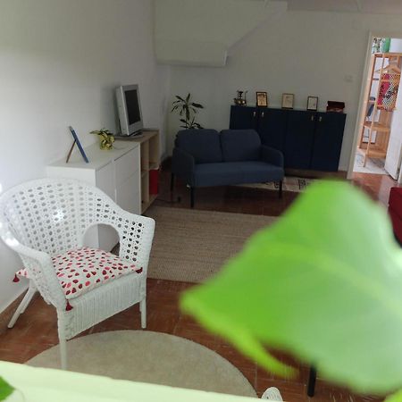 Apartament Lugar De Cal Fene Zewnętrze zdjęcie
